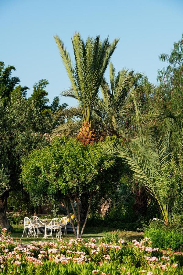 Pavillon Terra Ababila En Exclusivite Villa Marakeş Dış mekan fotoğraf